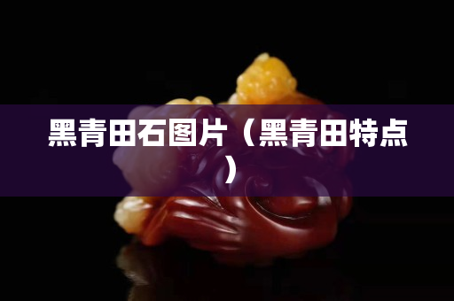 黑青田石图片（黑青田特点）