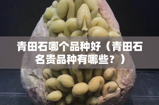 青田石哪个品种好（青田石名贵品种有哪些？）