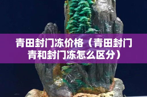 青田封门冻价格（青田封门青和封门冻怎么区分）