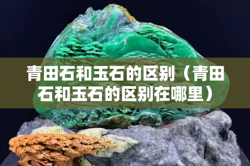青田石和玉石的区别（青田石和玉石的区别在哪里）
