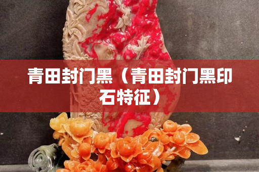 青田封门黑（青田封门黑印石特征）