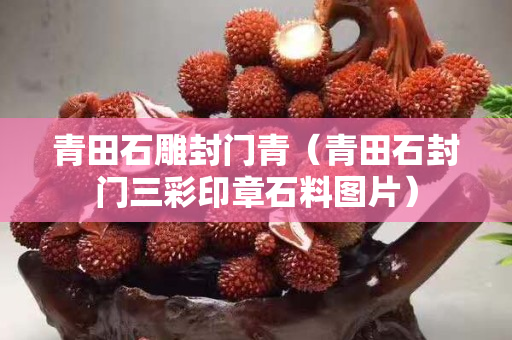 青田石雕封门青（青田石封门三彩印章石料图片）