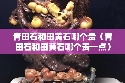 青田石和田黄石哪个贵（青田石和田黄石哪个贵一点）