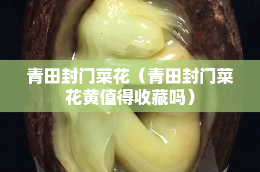 青田封门菜花（青田封门菜花黄值得收藏吗）