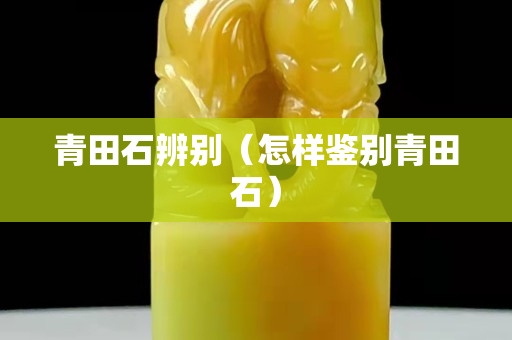 青田石辨别（怎样鉴别青田石）