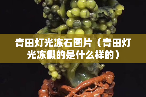 青田灯光冻石图片（青田灯光冻假的是什么样的）