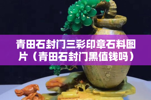 青田石封门三彩印章石料图片（青田石封门黑值钱吗）