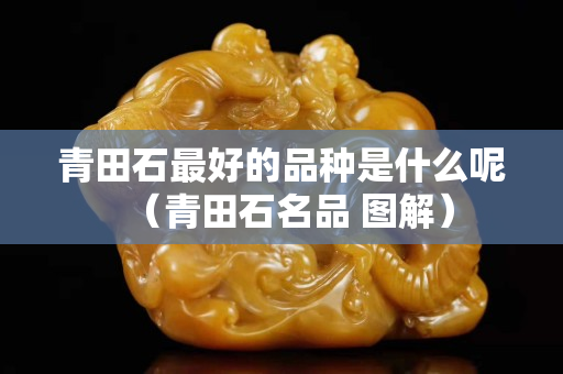 青田石最好的品种是什么呢（青田石名品 图解）