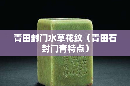 青田封门水草花纹（青田石封门青特点）