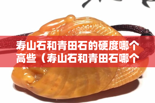 寿山石和青田石的硬度哪个高些（寿山石和青田石哪个好）