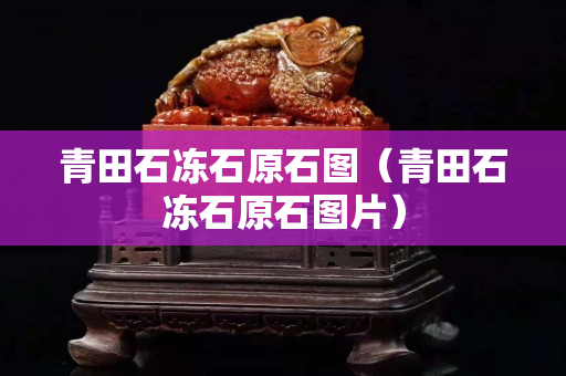 青田石冻石原石图（青田石冻石原石图片）