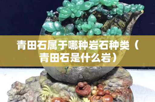 青田石属于哪种岩石种类（青田石是什么岩）