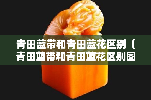 青田蓝带和青田蓝花区别（青田蓝带和青田蓝花区别图片）