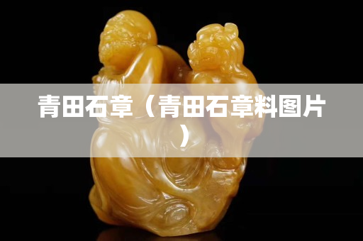 青田石章（青田石章料图片）