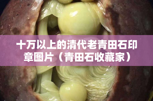 十万以上的清代老青田石印章图片（青田石收藏家）