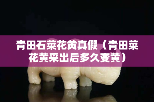 青田石菜花黄真假（青田菜花黄采出后多久变黄）