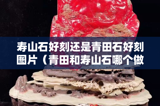寿山石好刻还是青田石好刻图片（青田和寿山石哪个做印章好）