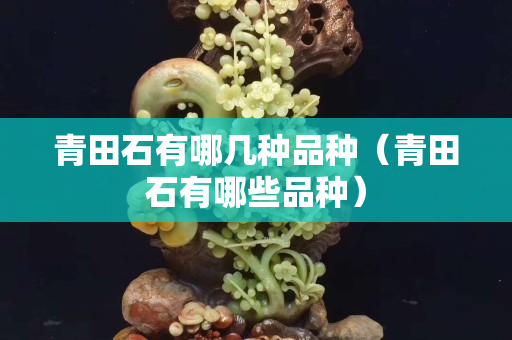 青田石有哪几种品种（青田石有哪些品种）