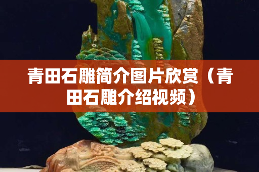 青田石雕简介图片欣赏（青田石雕介绍视频）