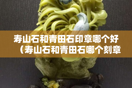 寿山石和青田石印章哪个好（寿山石和青田石哪个刻章好）