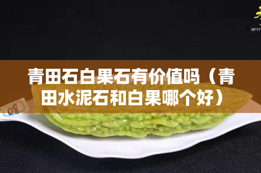 青田石白果石有价值吗（青田水泥石和白果哪个好）