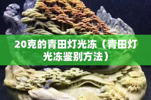 20克的青田灯光冻（青田灯光冻鉴别方法）