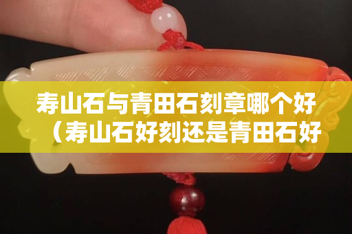 寿山石与青田石刻章哪个好（寿山石好刻还是青田石好刻）