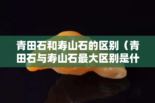 青田石和寿山石的区别（青田石与寿山石最大区别是什么）