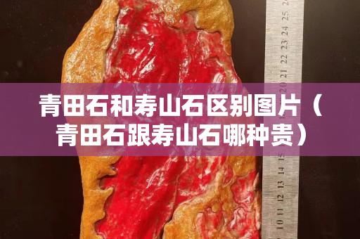 青田石和寿山石区别图片（青田石跟寿山石哪种贵）