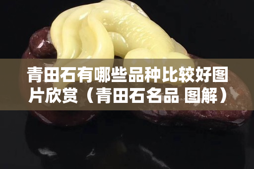 青田石有哪些品种比较好图片欣赏（青田石名品 图解）