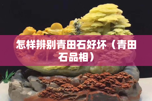 怎样辨别青田石好坏（青田石品相）