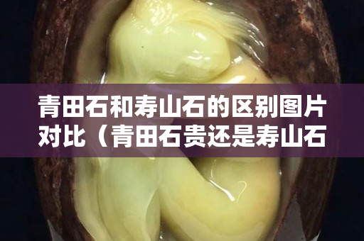 青田石和寿山石的区别图片对比（青田石贵还是寿山石贵）