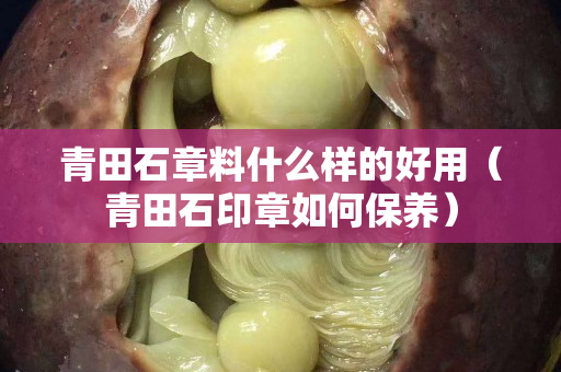 青田石章料什么样的好用（青田石印章如何保养）