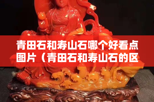 青田石和寿山石哪个好看点图片（青田石和寿山石的区别）