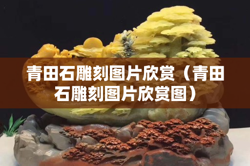 青田石雕刻图片欣赏（青田石雕刻图片欣赏图）