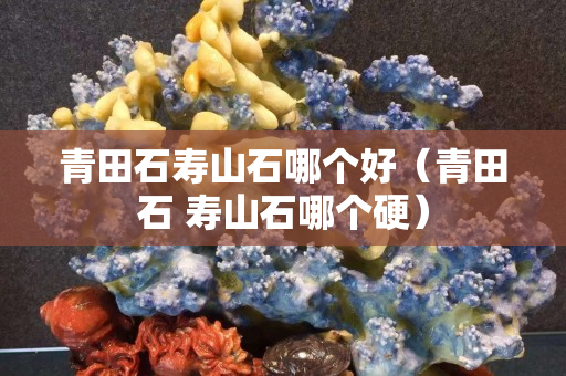 青田石寿山石哪个好（青田石 寿山石哪个硬）