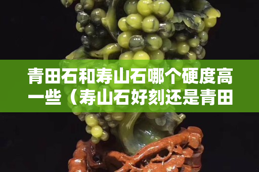 青田石和寿山石哪个硬度高一些（寿山石好刻还是青田石好刻）