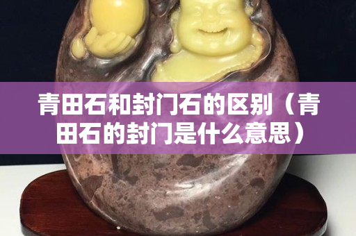 青田石和封门石的区别（青田石的封门是什么意思）