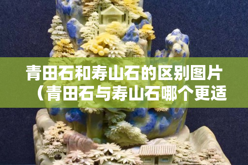 青田石和寿山石的区别图片（青田石与寿山石哪个更适合刻印章）