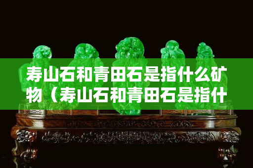 寿山石和青田石是指什么矿物（寿山石和青田石是指什么矿物质）