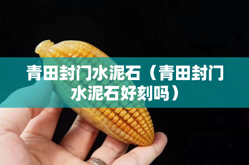 青田封门水泥石（青田封门水泥石好刻吗）