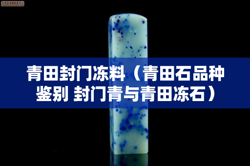 青田封门冻料（青田石品种鉴别 封门青与青田冻石）