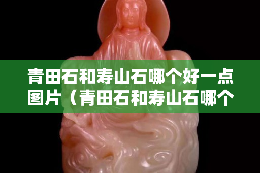 青田石和寿山石哪个好一点图片（青田石和寿山石哪个硬度高）