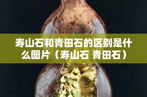 寿山石和青田石的区别是什么图片（寿山石 青田石）