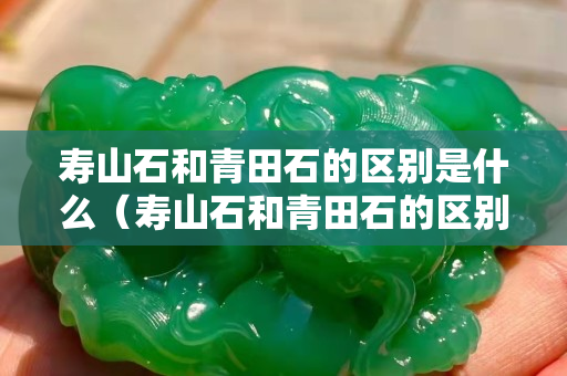 寿山石和青田石的区别是什么（寿山石和青田石的区别是什么意思）