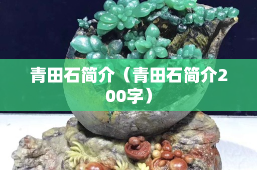 青田石简介（青田石简介200字）