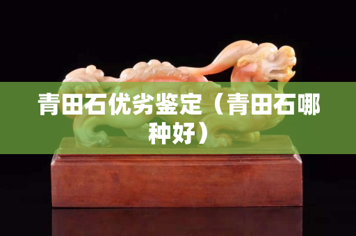 青田石优劣鉴定（青田石哪种好）