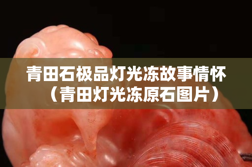 青田石极品灯光冻故事情怀（青田灯光冻原石图片）