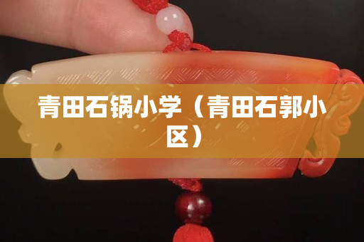 青田石锅小学（青田石郭小区）