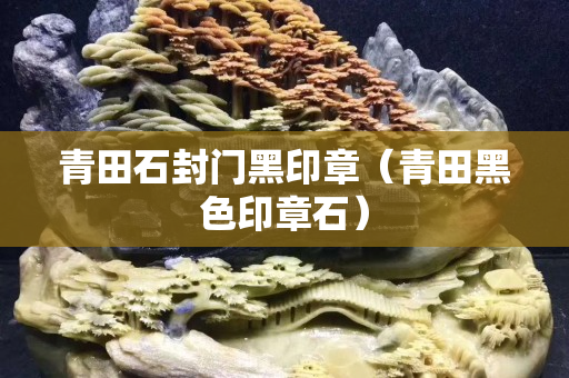 青田石封门黑印章（青田黑色印章石）